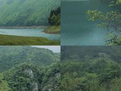 -铁山坪森林公园