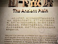 -平顶山博物馆