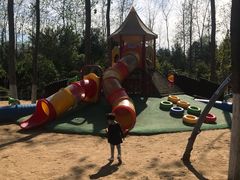 -合肥滨湖国家森林公园