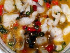 沸腾乌鱼片-粤香楼(新光里店)