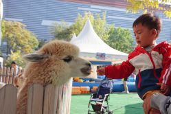 -萌宠亲子动物乐园(槐房万达店)