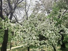 -元大都城垣遗址公园