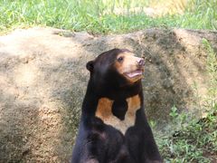 -杭州野生动物世界