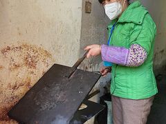 -孙奶奶葱包桧