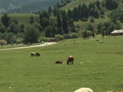 -新疆那拉提国家旅游度假区