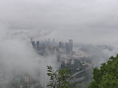 -南山植物园
