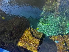 -新加坡水上探险乐园