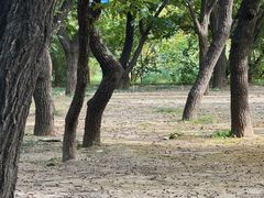 -国家植物园南园