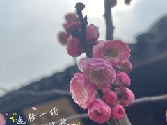 -无锡梅园公园
