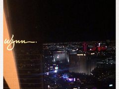 -拉斯维加斯永利酒店