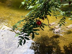 -黑龙潭风景区