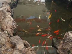 -利群海琴购物广场(商丘路店)