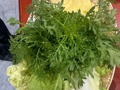-菌之家·专业纯野生菌火锅·特色炒菌