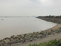 -海鸥岛