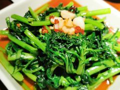 豉油茼蒿-楼兰新疆主题餐厅(悠方店)