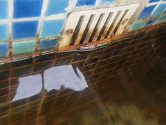 -河源万绿湖美思威尔顿酒店