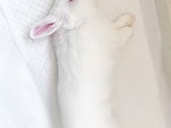 -美迦爱-牙专科·兔科·骨科诊疗中心(北苑店)