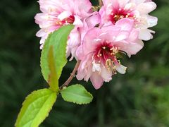 -上海市龙华烈士陵园