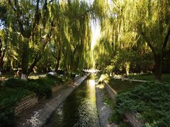 -菖蒲河公园