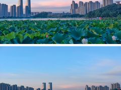 -梅溪湖城市岛