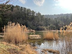 -南京市无想山景区