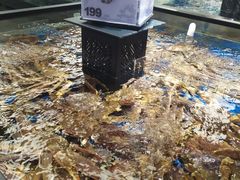 -盒马鲜生(杨高南路店)