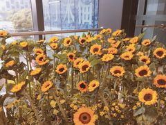 -花邻FloweringLife花艺气球派对(武康大楼店)