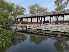 -金银湖国家城市湿地公园