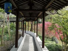 -上海醉白池公园