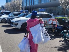 -北京民族园葉子里酒店(鸟巢店)