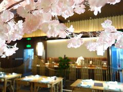 -提香日本料理