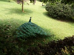 -天赐温泉