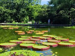 -国家植物园南园