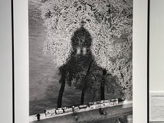 -上海宝龙美术馆