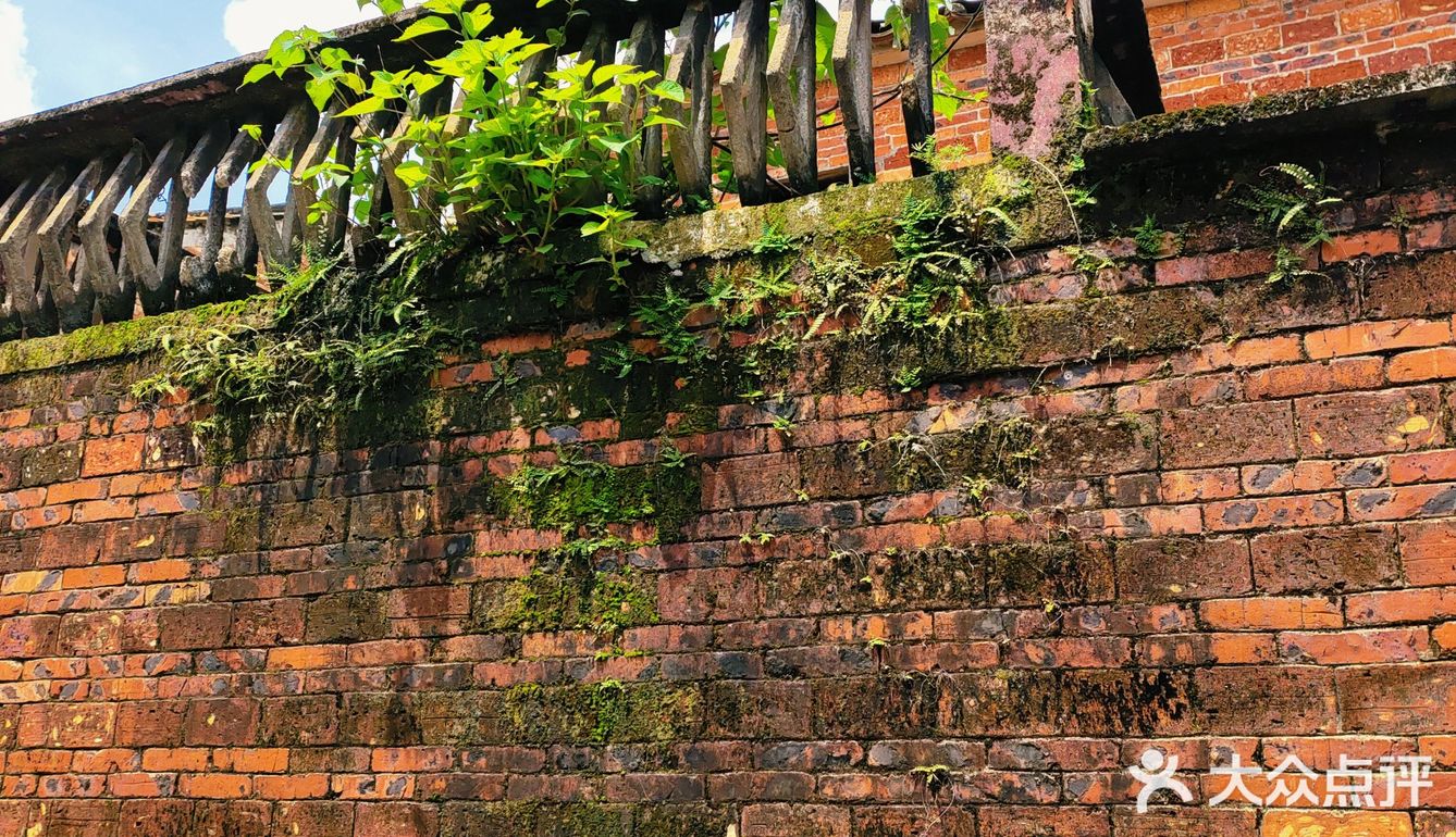 佛山三水区一日游[吐]