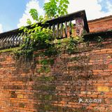 佛山三水区一日游[吐]