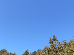 -府君山公园