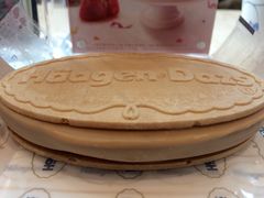 iphone_upload_pic-哈根达斯(武汉天地店)