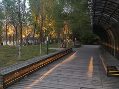 -长白岛森林公园