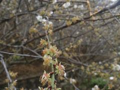 -广州市流溪河国家森林公园