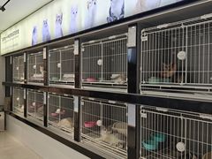-翊宠yipet猫狗购宠庄园