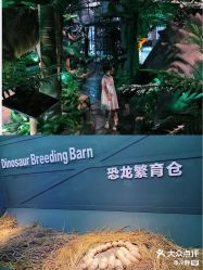 -恐龙探索乐园(磁器口店)