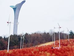 -沈阳植物园