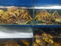 -蚝专家(北滘店)
