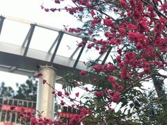 -仙岳公园