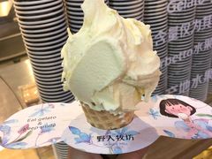 -野人先生现做冰淇淋(西安赛格店)