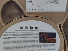 -哈密雅丹大海道景区