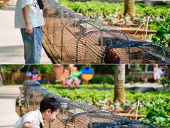 -石梅湾艾美度假酒店