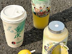 -初茶花月·重庆特产(大融城店)