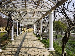 -苏州上方山国家森林公园